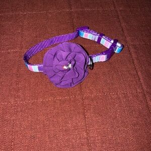 X Small dog collar